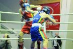 Lietuvos bokso čempionatas Panevėžyje