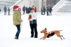 35 - tas Naujametis bėgimas Vilniuje