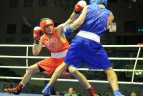 Lietuvos bokso čempionatas Panevėžyje