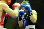 Lietuvos bokso čempionatas Panevėžyje