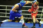 Lietuvos bokso čempionatas Panevėžyje