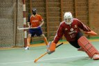 2012 m. Lietuvos vyrų uždarų patalpų riedulio čempionatas.