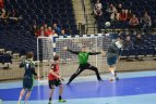 Lietuva – Belgija 33:28.