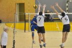 Vilniaus "Flamingo Volley-SM Tauras" - Kelmės "Antivis"