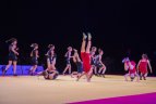 Lietuvos kovos menų festivalis.