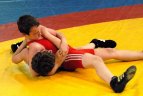 Anykščiuose vyko Lietuvos vaikų imtynių čempionatas