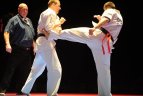 Europos kiokušin karatė čempionatas Vilniuje.