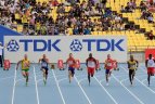 Daegu 2011.