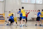 Į V. Sakalio atimties turnyrą komandos rinkosi jau trečią kartą