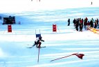 "Žalgirio" žaidynių ir LEKI taurės slalomo milžino varžybos.