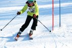 "Žalgirio"žaidynių ir LEKI taurės slalomo varžybos.
