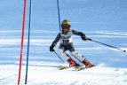 "Žalgirio"žaidynių ir LEKI taurės slalomo varžybos.