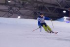 Kalnų slidinėjimo varžybos Druskininkuose.