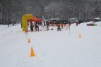 Vilmanto Gineito atminimo taurės slidinėjimo varžybos