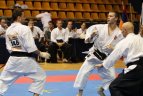 Lietuviai Europos čempionate iškovojo keturis medalius.