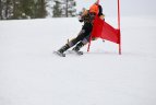 kalnų slidinėjimo Baltijos taurė. Treniruotės