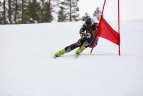 kalnų slidinėjimo Baltijos taurė. Treniruotės