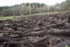 Vilniaus „Geležinis vilkas“ kelią naujam gyvenimui Verkių stadioną.