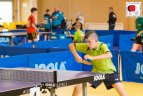 2017 m. Lietuvos jaunučių ir mini jaunučių atvirasis čempionatas