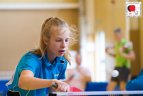 2017 m. Lietuvos jaunučių ir mini jaunučių atvirasis čempionatas