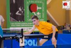 2017 m. Lietuvos jaunučių ir mini jaunučių atvirasis čempionatas