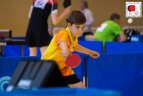 2017 m. Lietuvos jaunučių ir mini jaunučių atvirasis čempionatas