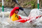 Čempionatą laimėjo Anglijoje gyvenantys lietuviai