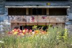 Prieš stadiono griovimą protestavo nedidelė grupelė žmoni