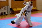 Rinktinės vyks į Europos čempionatą