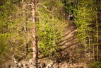 „Ladoga Trophy 2016“ bekelės lenktynių maratonas