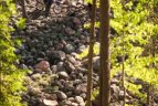 „Ladoga Trophy 2016“ bekelės lenktynių maratonas