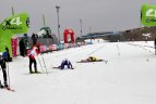 Europos žiemos olimpinis festivalis