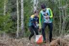 2016 m. Lietuvos orientavimosi sporto čempionatas Tytuvėnuose