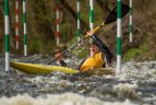 Čempionatą laimėjo Anglijoje gyvenantys lietuviai