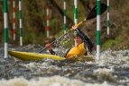 Čempionatą laimėjo Anglijoje gyvenantys lietuviai