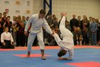 "Litexpo" parodų rūmuose prasidėjo Vilniaus sporto festivalis