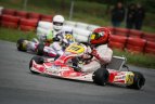 G.Grinbergas - Lenkijos vicečempionas.