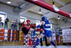 Čempionato akimirka