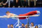 Europos žaidynių paskutinę dieną triumfavo gimnastas R.Tvorogalas.