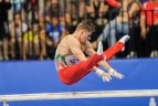 Europos žaidynių paskutinę dieną triumfavo gimnastas R.Tvorogalas.