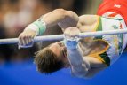 Europos žaidynių paskutinę dieną triumfavo gimnastas R.Tvorogalas.