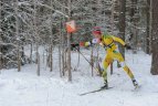 Lietuvos orientavimosi sporto slidėmis čempionatas Visagine.