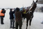 Sartai 2011