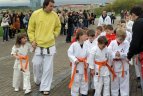 Japonijos bičiuliai, karate meistrai Vilniuje pažymėjo sakurų žydėjimo šventę