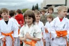 Japonijos bičiuliai, karate meistrai Vilniuje pažymėjo sakurų žydėjimo šventę