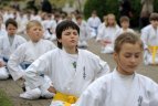 Japonijos bičiuliai, karate meistrai Vilniuje pažymėjo sakurų žydėjimo šventę