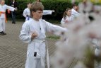 Japonijos bičiuliai, karate meistrai Vilniuje pažymėjo sakurų žydėjimo šventę