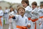 Japonijos bičiuliai, karate meistrai Vilniuje pažymėjo sakurų žydėjimo šventę