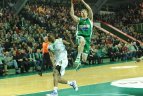 Kauno "Žalgiris" - Malagos "Unicaja"