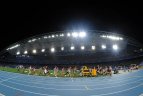 Daegu 2011.